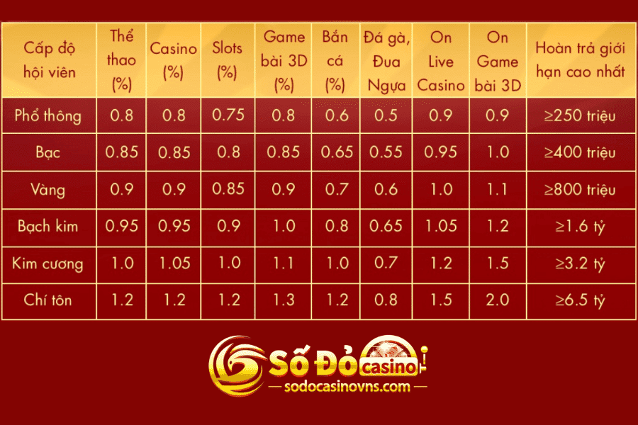 hoàn cược mỗi ngày sodo casino