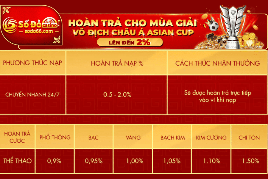 hoàn trả mỗi ngày xuân giáp thìn