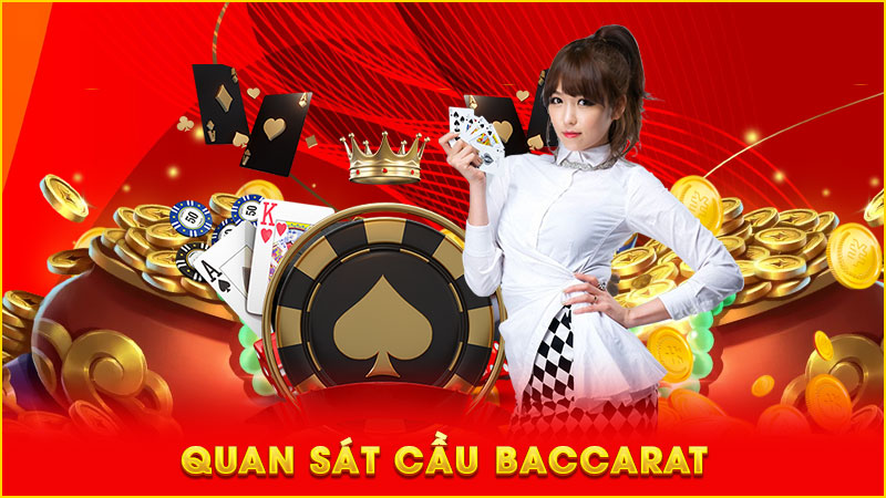 quan sát cầu baccarat