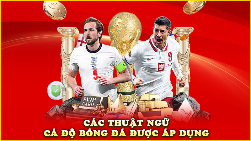 các thuật ngữ cá độ bóng đá được áp dụng