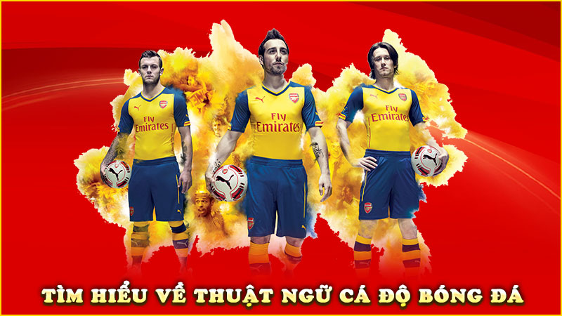 tìm hiểu về cá độ bóng đá